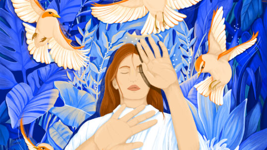 affiche SDI 2026 nature bleu feuillage